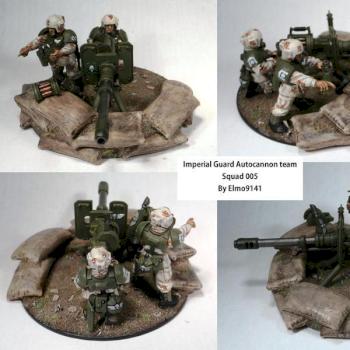 Imperial Guard Autocannon team by Elmo9141