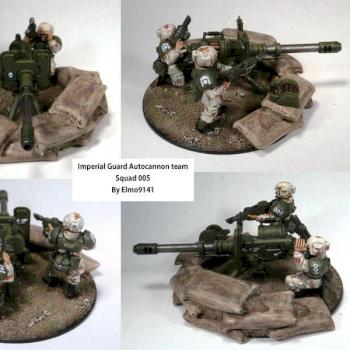 Imperial Guard Autocannon team by Elmo9141
