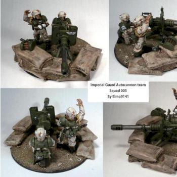 Imperial Guard Autocannon team by Elmo9141