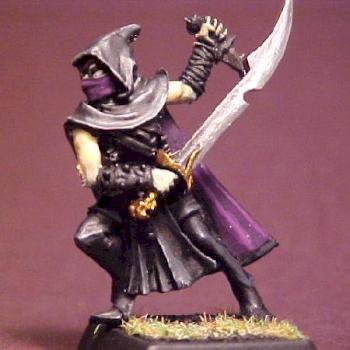 Dark Elf Assasin by veal759