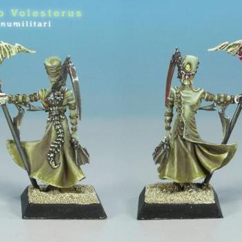 sykho volesterus by Manumilitari