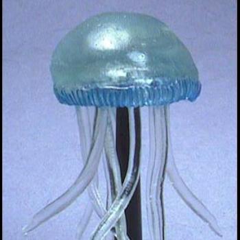 Jellyfish by tpope