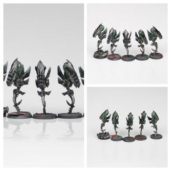 Zoanthrope by Just Paint It