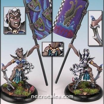 Dark Elf Banner Bearer by EArkham