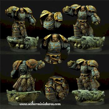 SF Celtic Warrior by Scibor