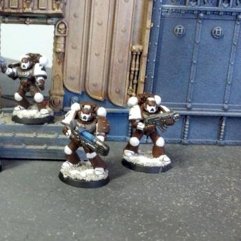 Ursus Astra Combat Squad by TGrizzly
