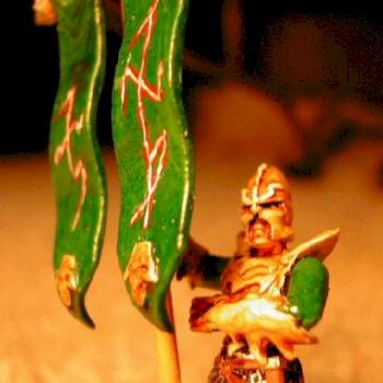Dark Elf Standard Bearer by vellavathalor
