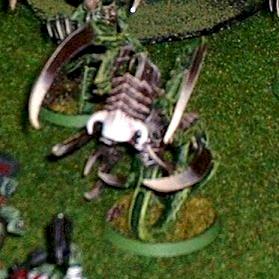 The GreenTerror by NiPPe