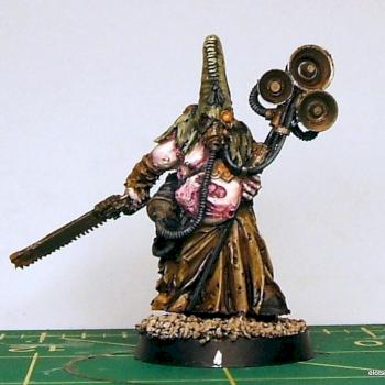 Chaos Renegade Militia Preacher of Nurgle by elotsip