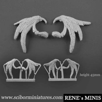 Angel Wings by rene