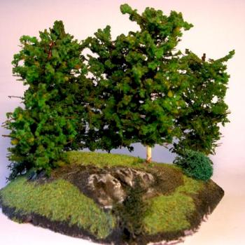 Forest by Manuel