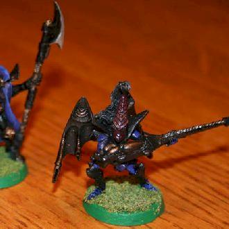 Dark Eldar Army by Nate B