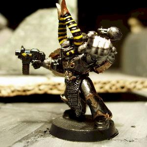 IW Aspiring Champion by sgr
