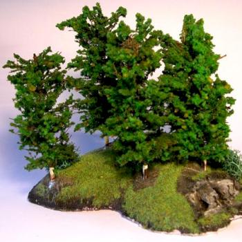 Forest#2 by Manuel