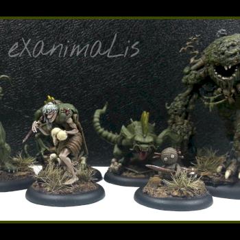 Zoraida Crew by eXanimaLis