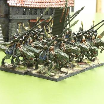 Dark Elves - Cold One Knights by Praetorian1979