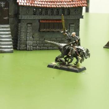Dark Elves - Dreadlord on Cold One by Praetorian1979