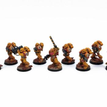 Imperial Fists Tactical by Kirys