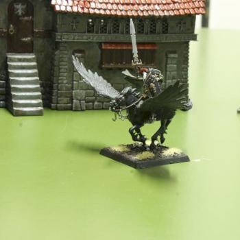 Dark Elves - Master on Dark Pegasus by Praetorian1979