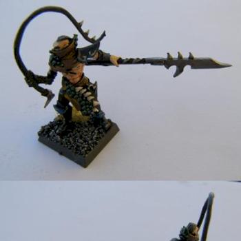 Dark Elf Beastmaster by Johnz