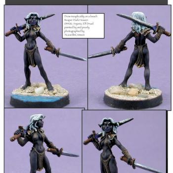 drow inexplicably on a beach by ALizardInCrimson
