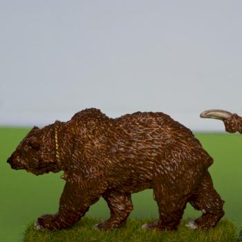 Elven beastmaster and bear by David Kolacinski