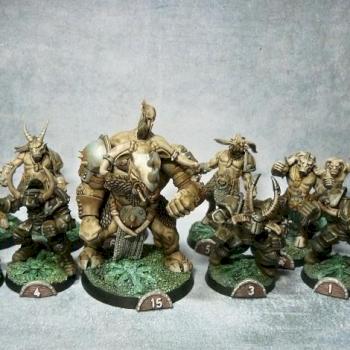 Blood Bowl bloodbowl TEAM converted CHAOS pro painted x 15 by tyyler