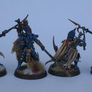 Dark Eldar Trueborn by trollslayer