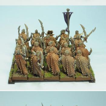 Warhammer Army Dark Elves by wlodi
