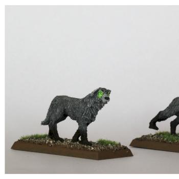 Orion's hounds by Guardian
