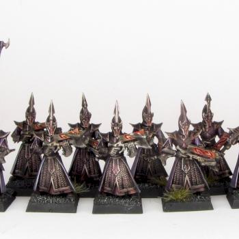 Dark Elves Darkshards by medows