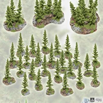 LARGE CONIFER FOREST SET / 25 trees by studiolevel