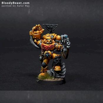 Imperial Fists Sergeant by BloodyBeast.com