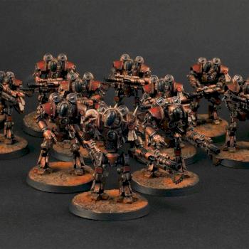 Thallax cohort by loris