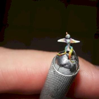 oiseau 2 a 3 mm by marc. c