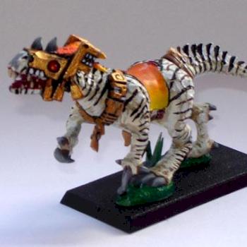 Zebra Cold-One by Ole