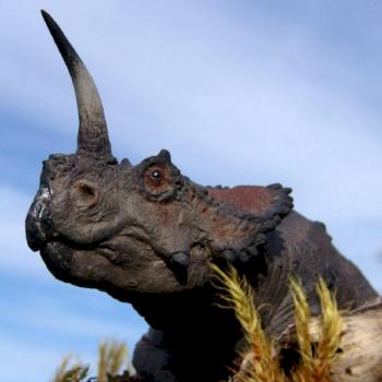 Dinosaur : Centrosaurus apertus by Gorgosaurus