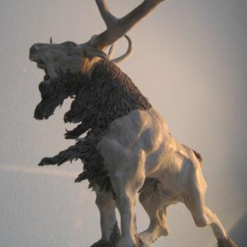 Stag by pitcube
