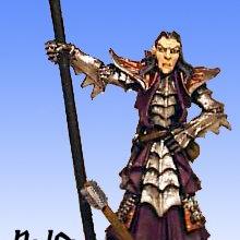 druchii battle standard bearer by RikLok2
