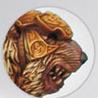 Dwarves War Bears Worriors set by Scibor