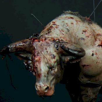 Hombre Toro by jarhead