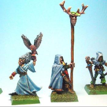 Wood Elves Heroes and Leaders by sinnis