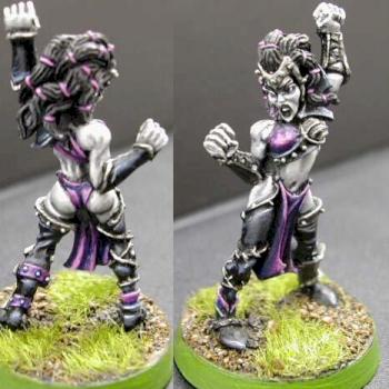 Witch Elf Blood Bowl Model by Renegade37