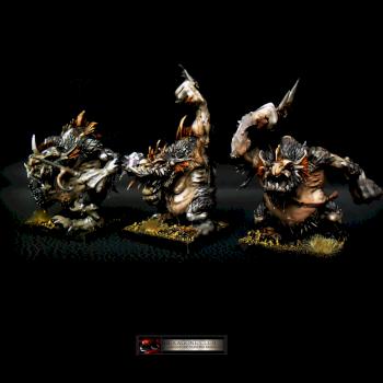 Warhammer Trolls D'eau . by Hexagone Club
