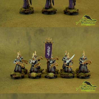 Dark Elves Darkshards & Dreadspears by Mad Crow Studio