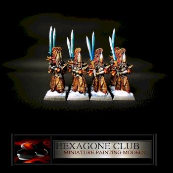 Warhammer Hauts Elfes Guerriers . by Hexagone Club