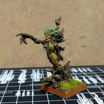 Drycha - Wood Elves by Michael Lessard