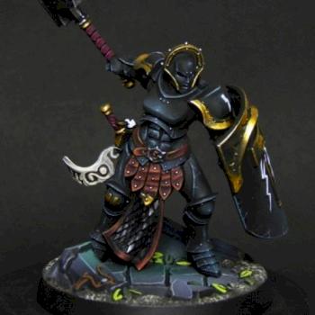 Warhammer Underworlds Shadespire: Angharad Brightshield by wilkzswetra