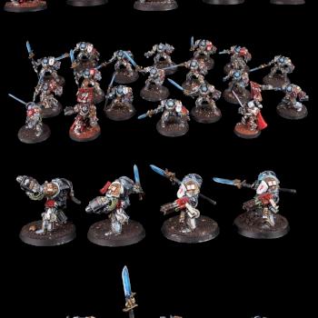 Warhammer 40K, Grey Knights, Terminators Army by cool-minis.com