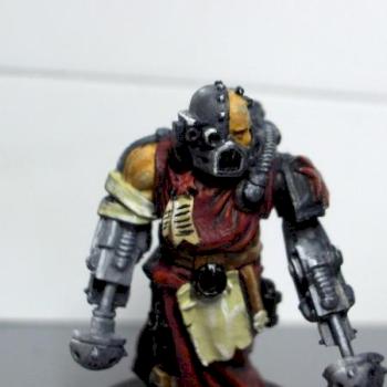 NMM black templar servitor new view by spyonicle